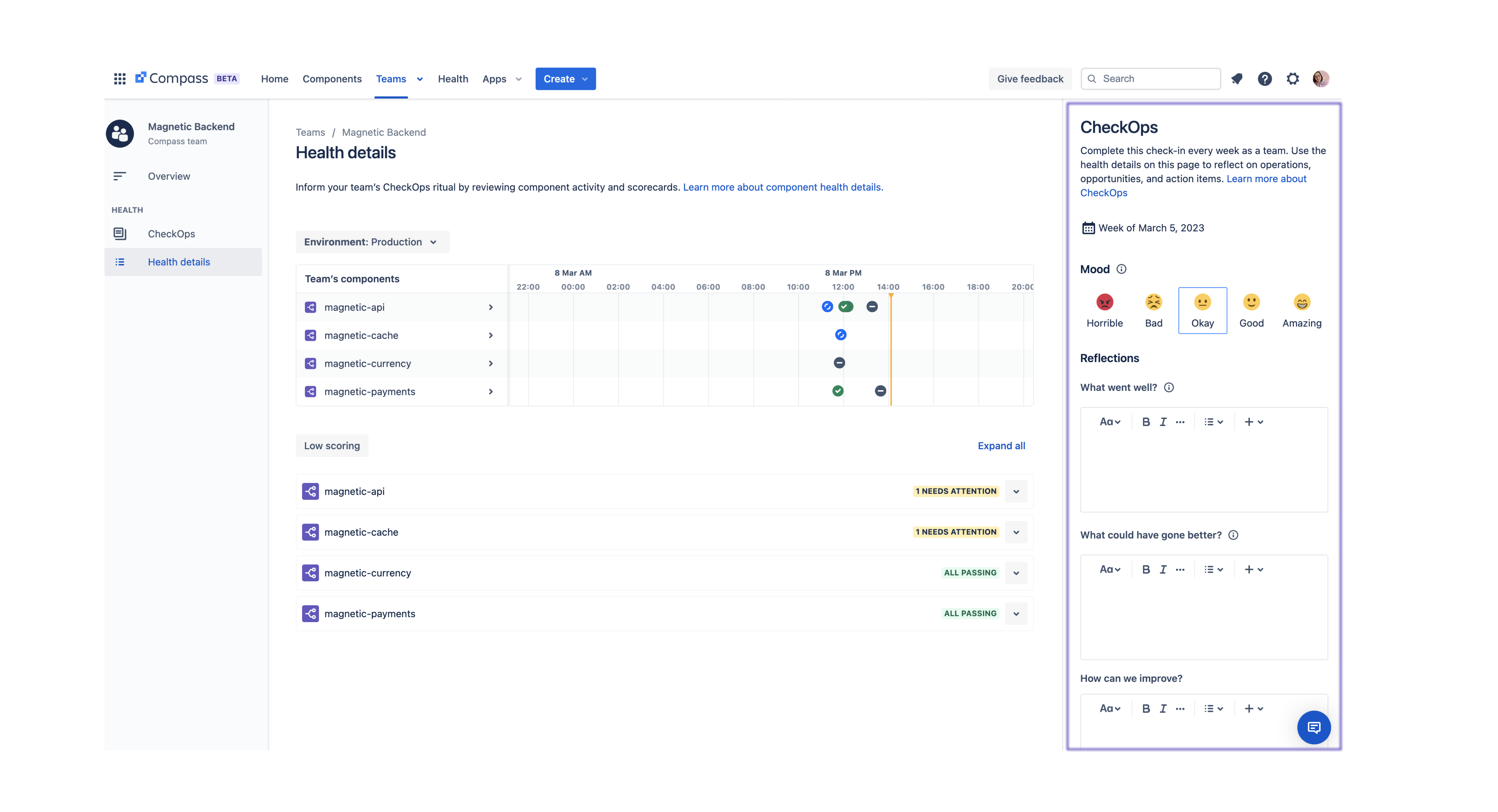 Team CheckOps form shown on the Health details page