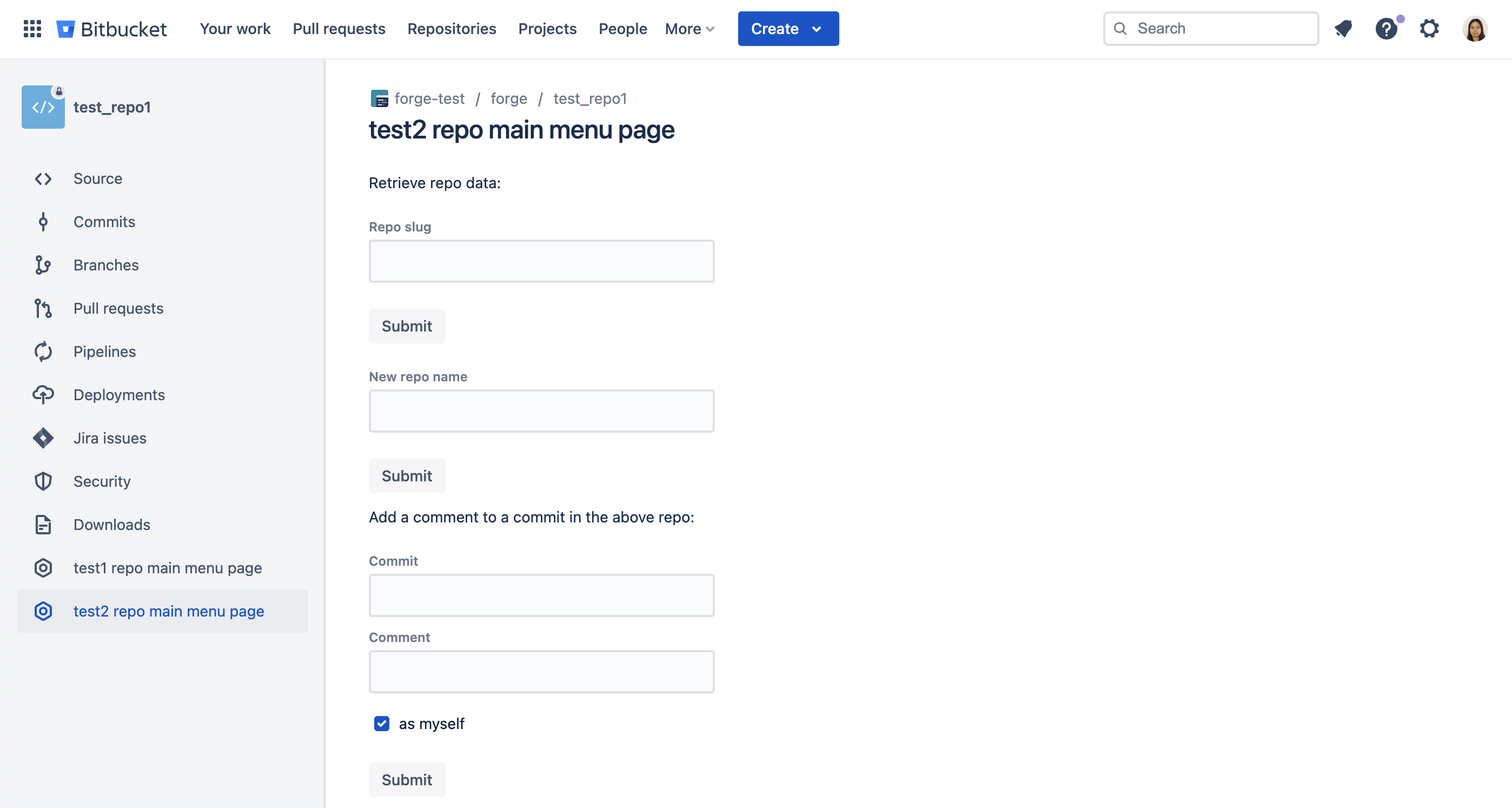 Example of a repository main menu page