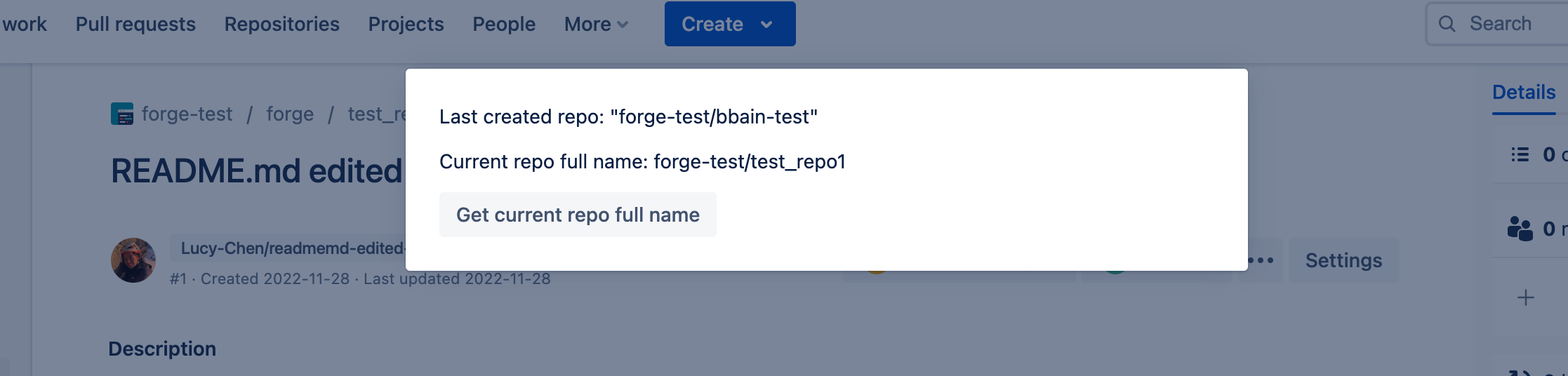Example of a repository pull request action dialog