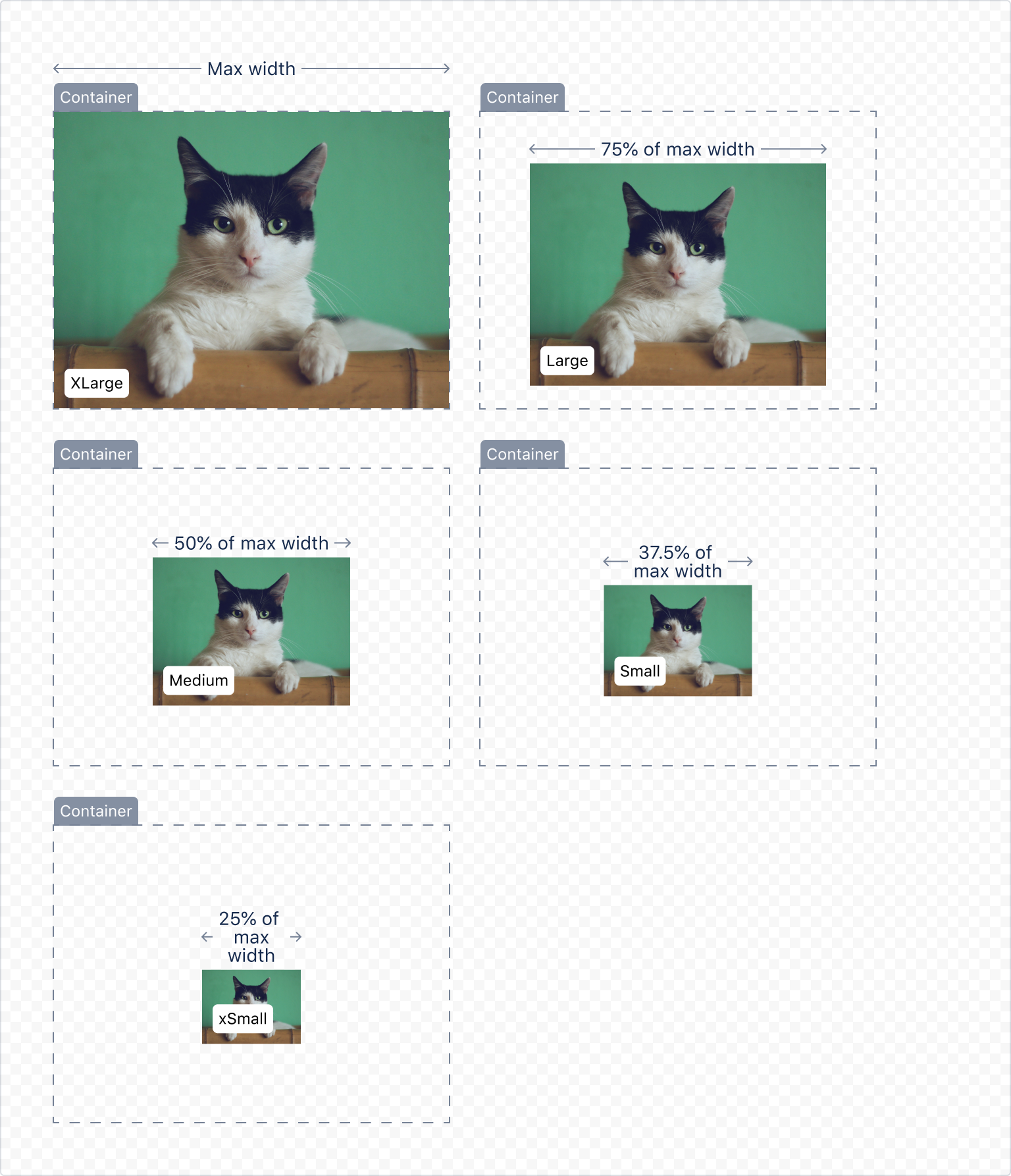 Examples of different image sizes that include xsmall, small, medium, large, xlarge to optimize images for different devices