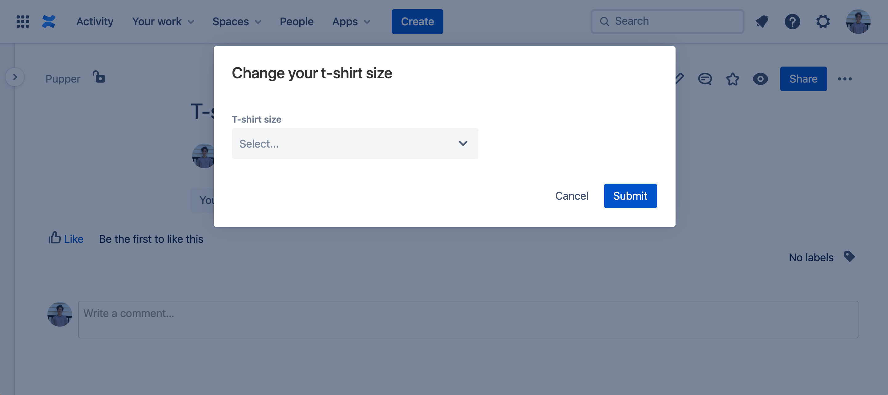 Example image of rendered modal dialog