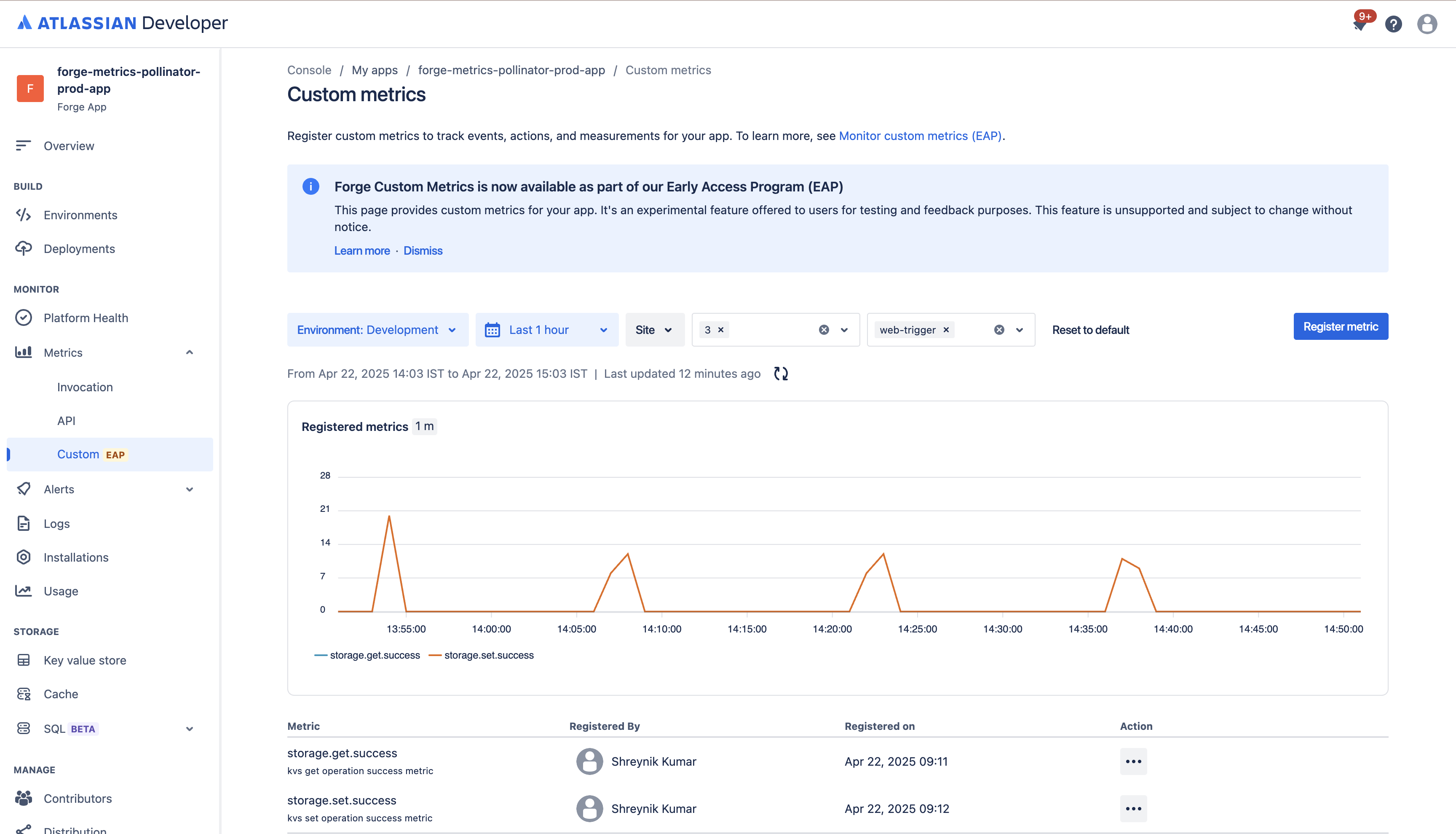 View custom metrics
