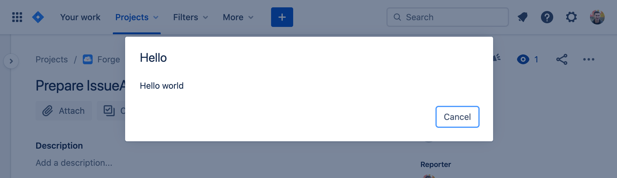 Example of an Issue action with the above sample code