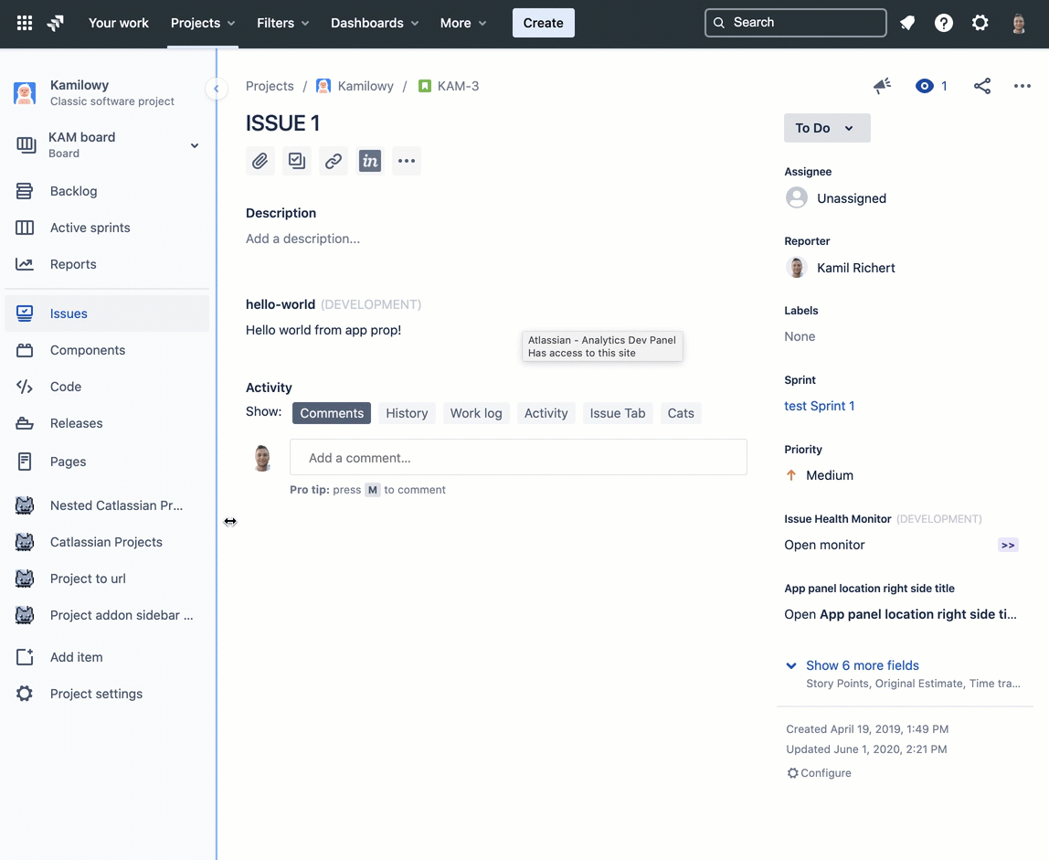Example of an Issue activity