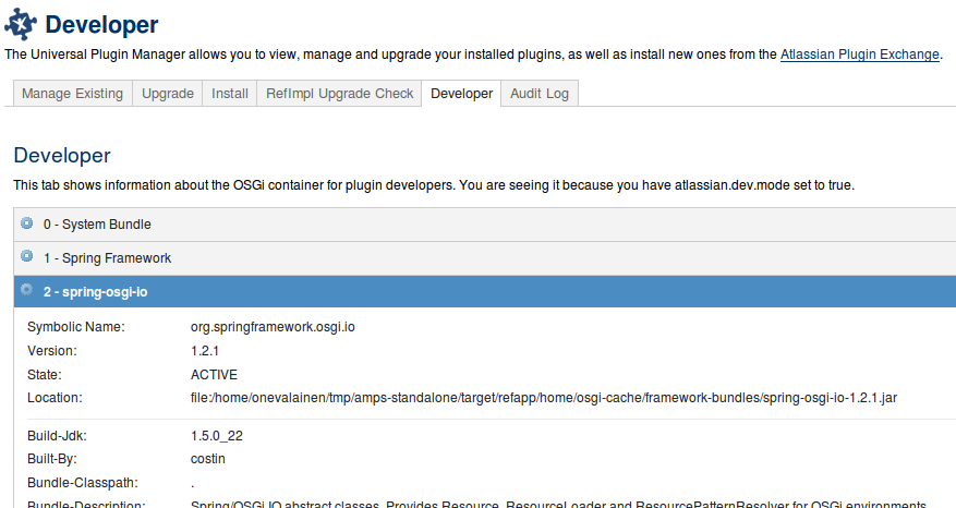 Developer tab
